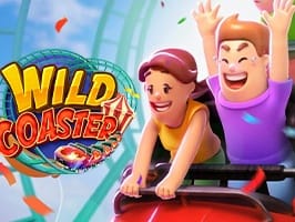 Wild Coaster